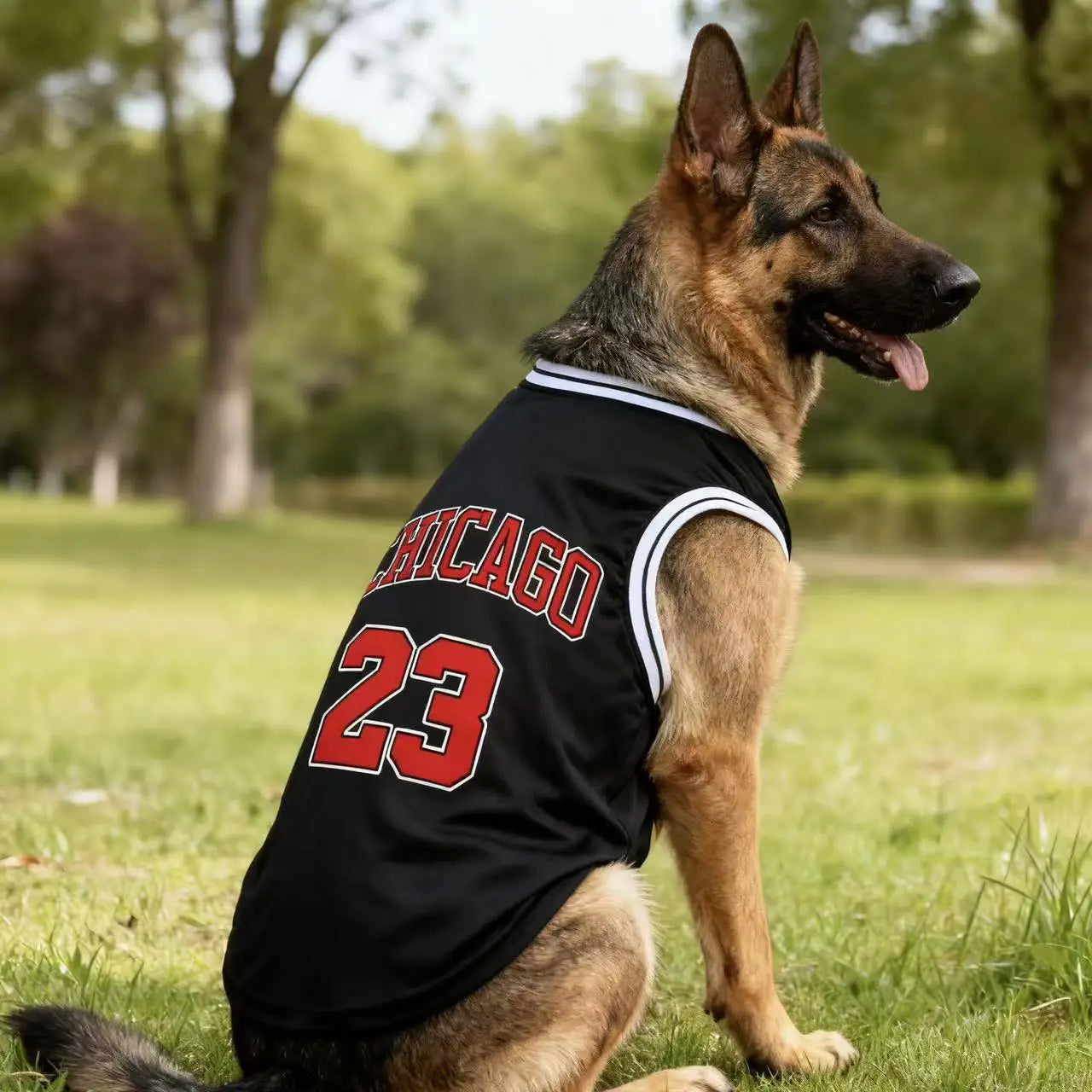 MVP Legend⢠Breathable Mesh Dog Basketball Jersey (Sizes up to 3XL)
