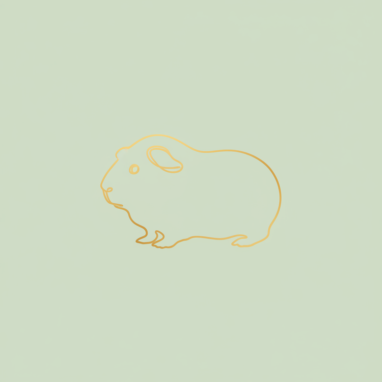 Small pets