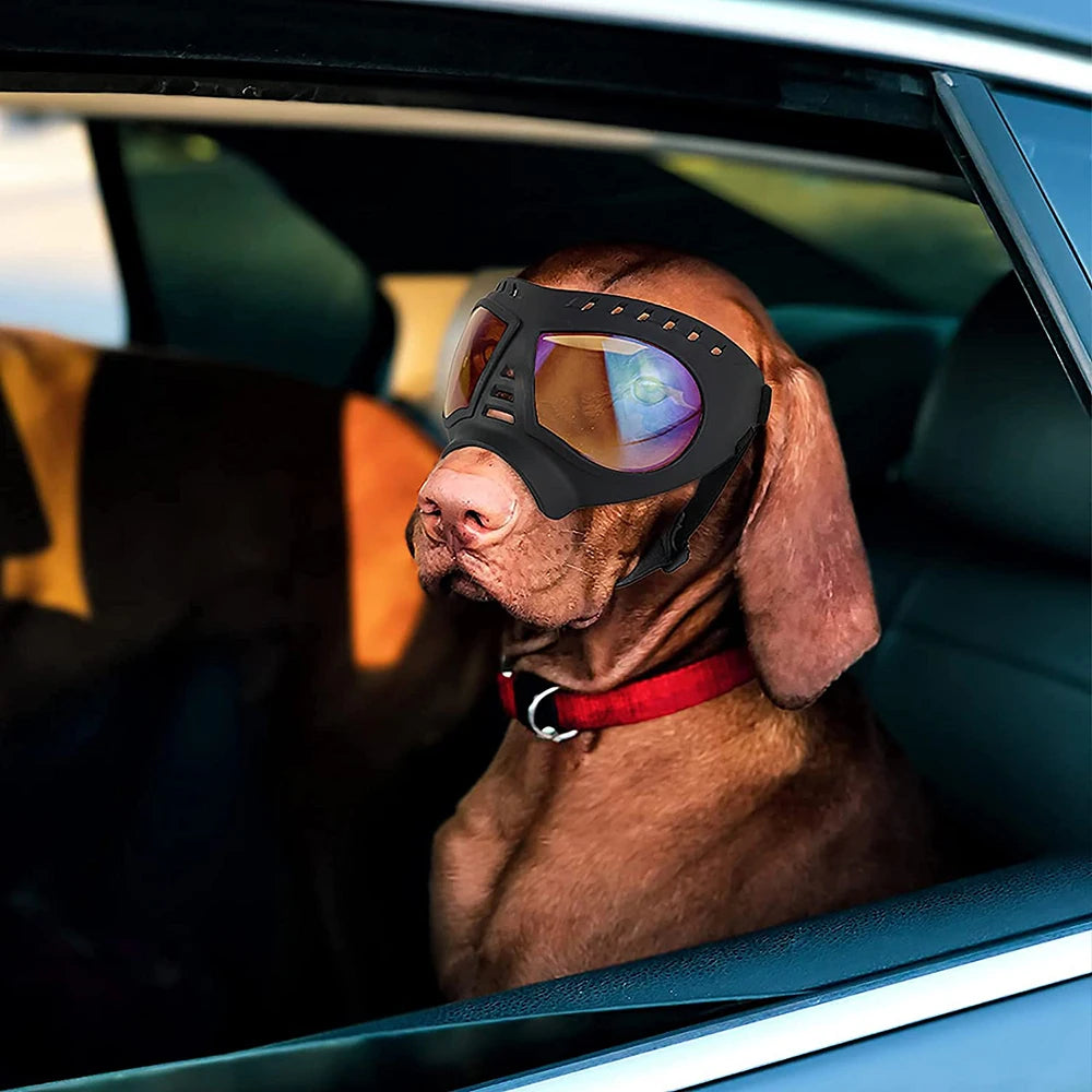 AeroFloat™ Premium UV Protection & Windproof Dog Goggles