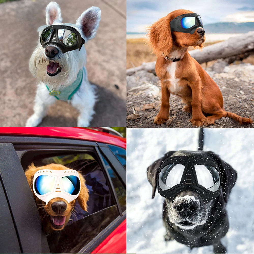 AeroFloat™ Premium UV Protection & Windproof Dog Goggles
