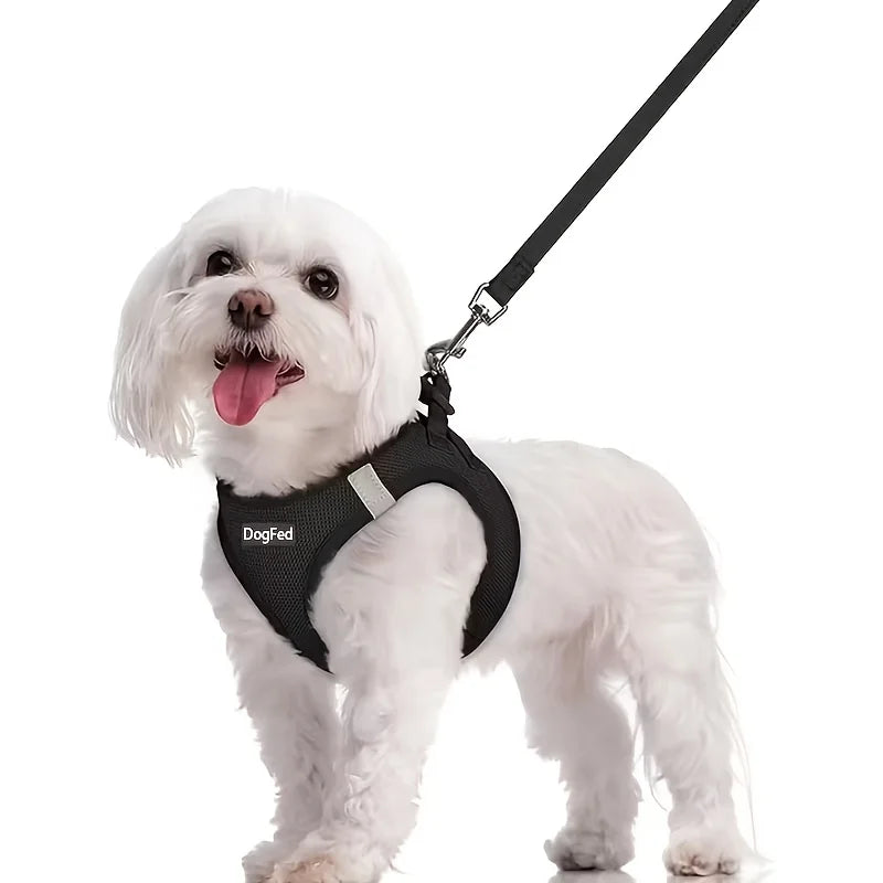 Step-In Breathable Mesh Reflective Dog Harness & Leash Set