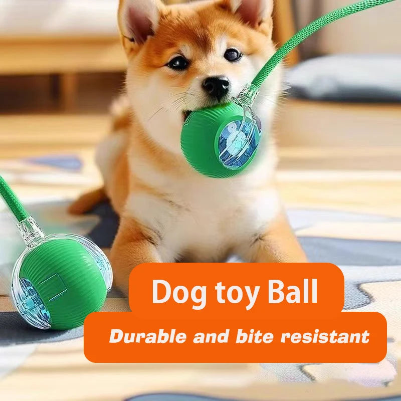 Right Cat™ Smart Interactive Auto-Rolling Ball Toy for Dogs