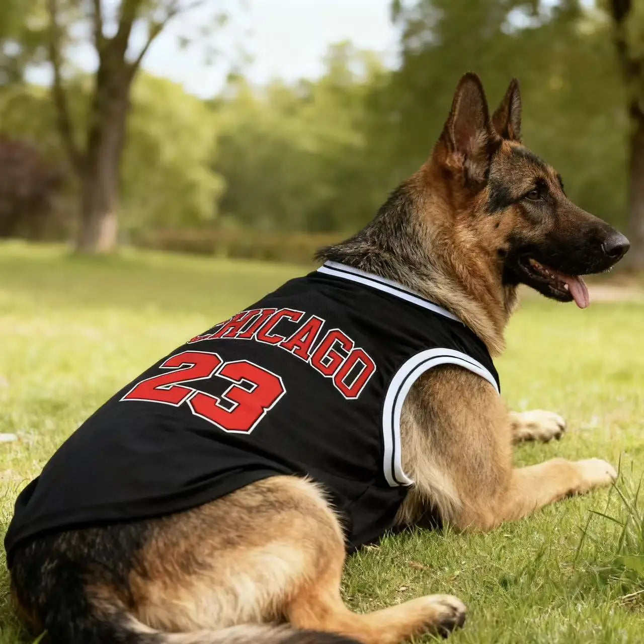 MVP Legend™ Breathable Mesh Dog Basketball Jersey (Sizes up to 3XL)
