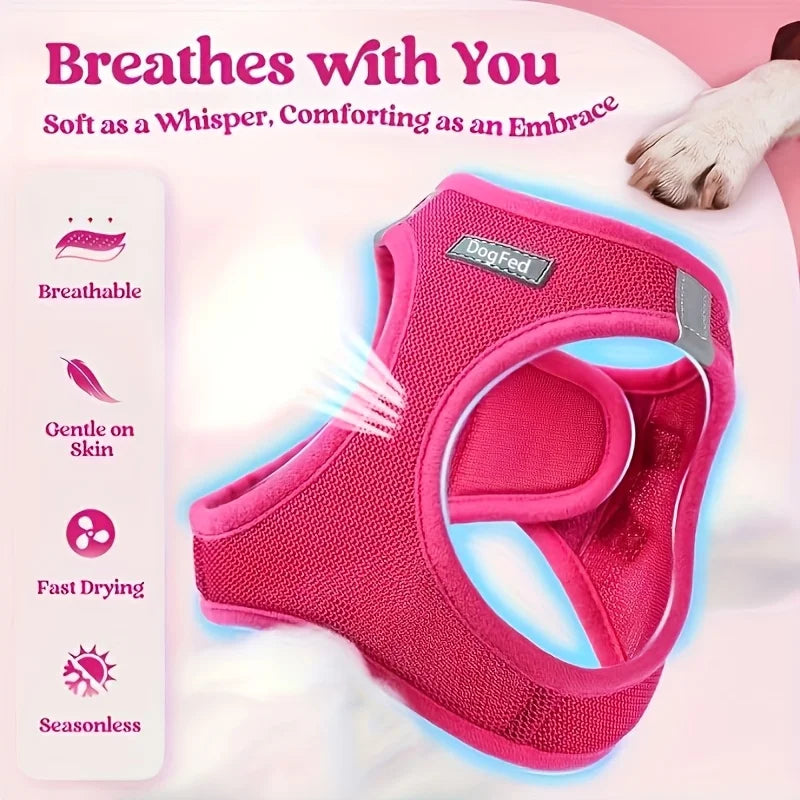 Step-In Breathable Mesh Reflective Dog Harness & Leash Set