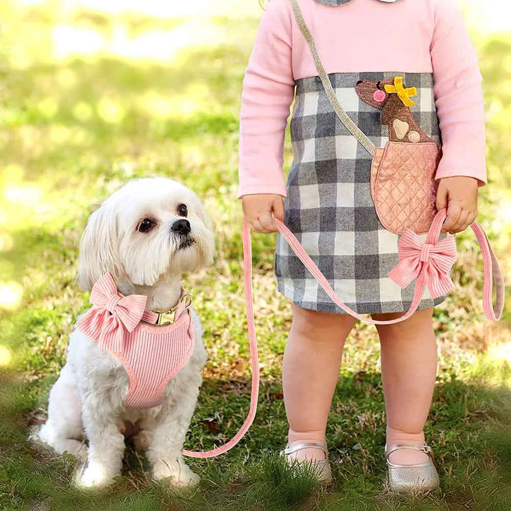 PET ARTIST Elegant 3-Piece Cute Bowknot Dog Collar, Harness & Leash Set (Model YWH159)