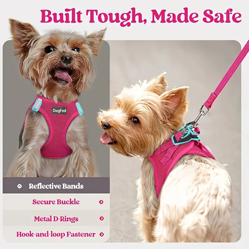 Step-In Breathable Mesh Reflective Dog Harness & Leash Set