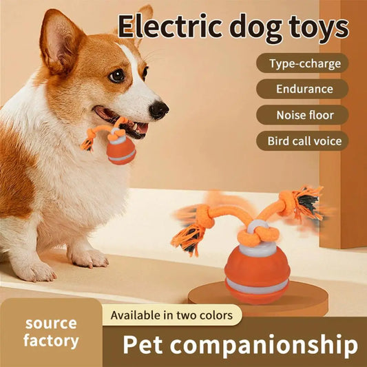SmartChase™ Motion-Activated Automatic Rolling Pet Ball (USB Rechargeable)