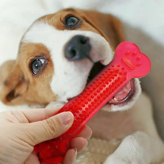 ToughBone™ Indestructible Dental Chew Toy for Aggressive Chewers
