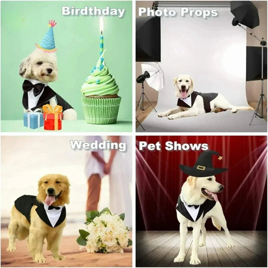 Luxury Detachable Two-Piece Dog Wedding Suit & Tuxedo