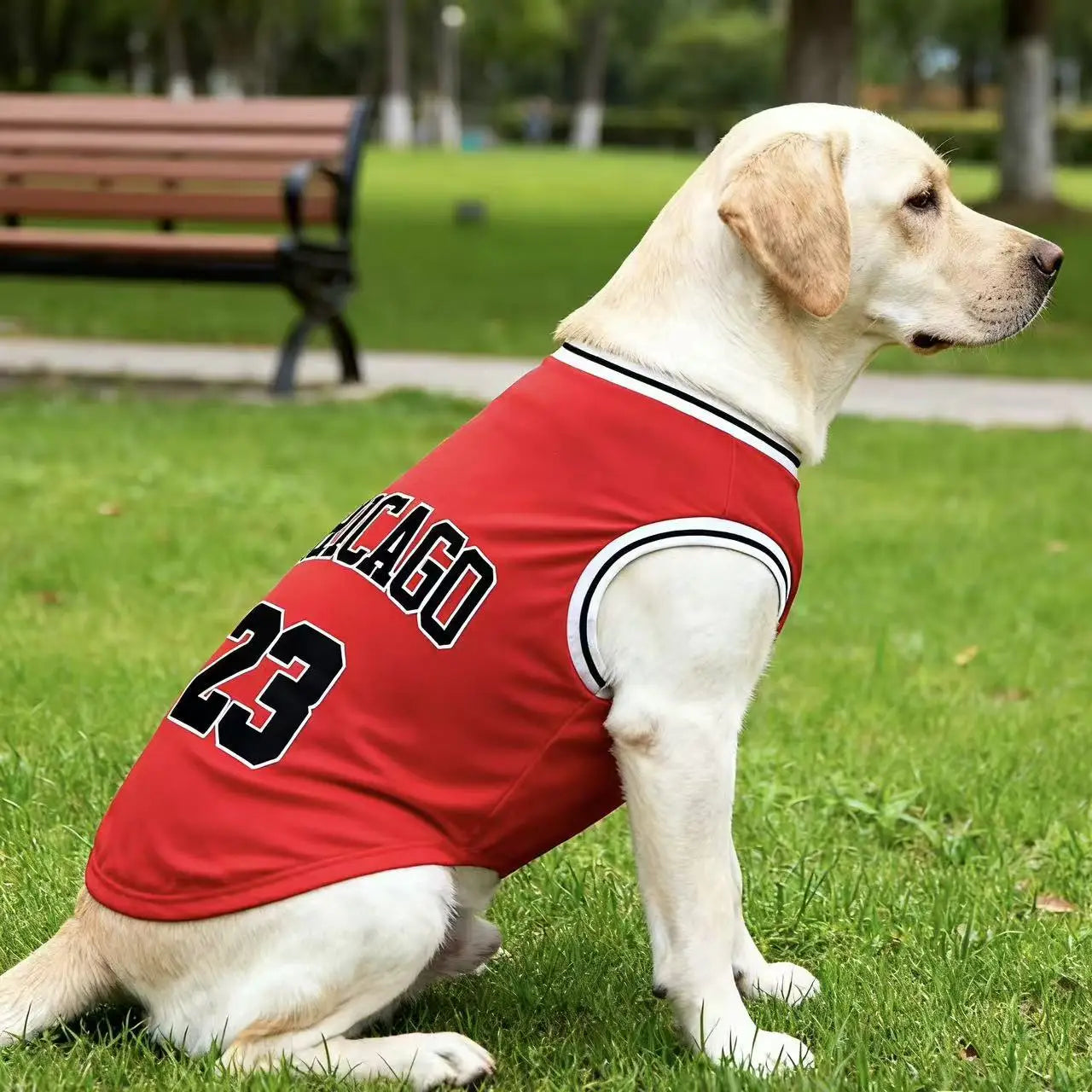 MVP Legend™ Breathable Mesh Dog Basketball Jersey (Sizes up to 3XL)