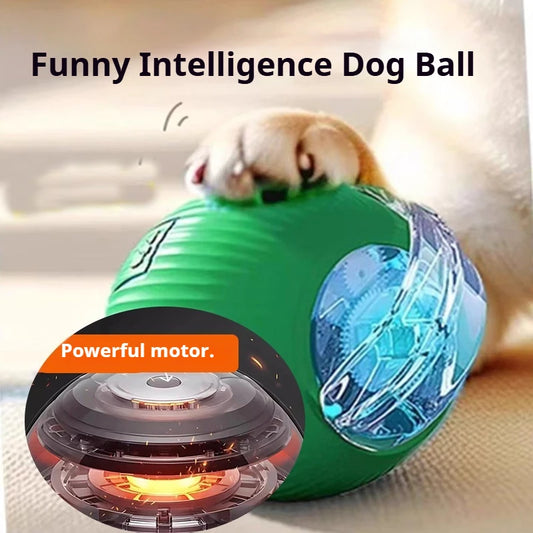 Right Cat™ Smart Interactive Auto-Rolling Ball Toy for Dogs