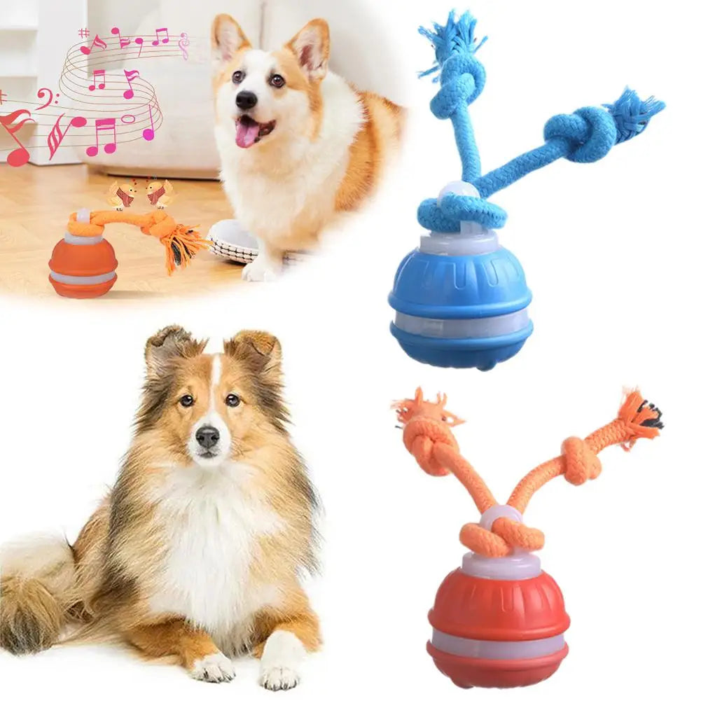SmartChase™ Motion-Activated Automatic Rolling Pet Ball (USB Rechargeable)