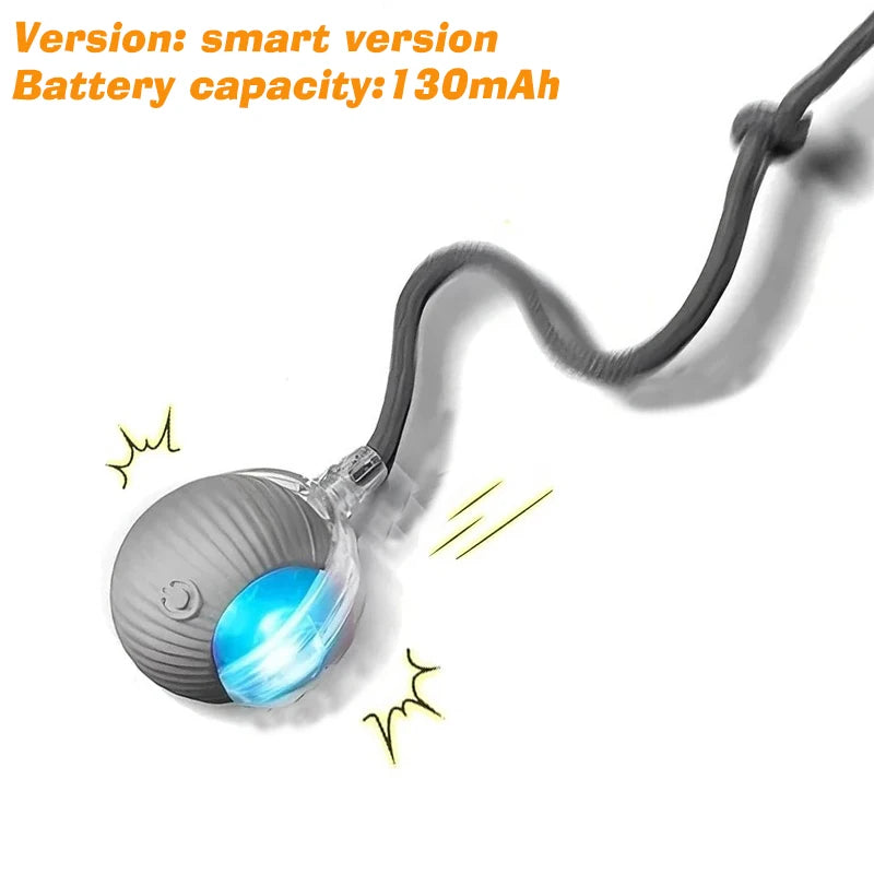 Right Cat™ Smart Interactive Auto-Rolling Ball Toy for Dogs