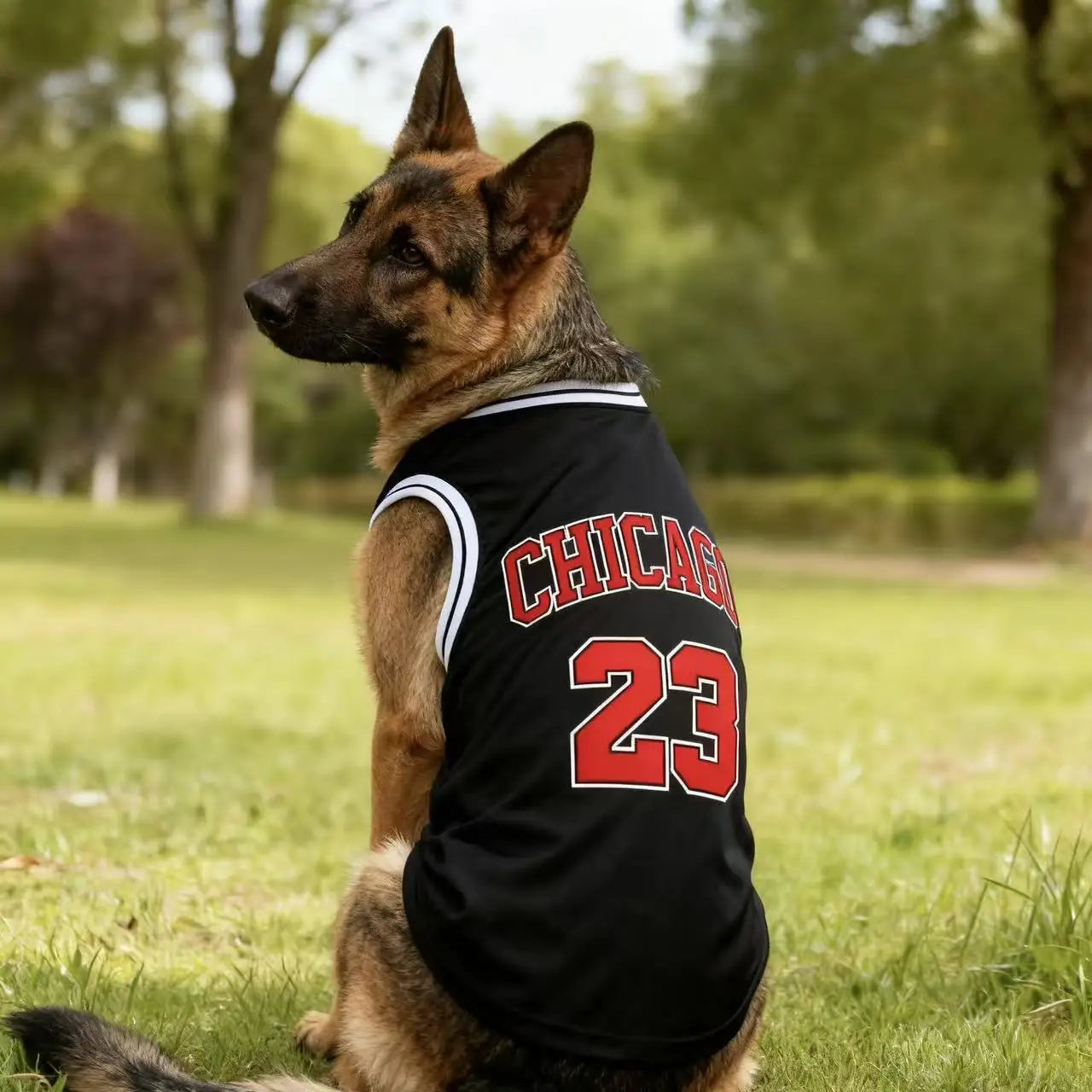 MVP Legend™ Breathable Mesh Dog Basketball Jersey (Sizes up to 3XL)