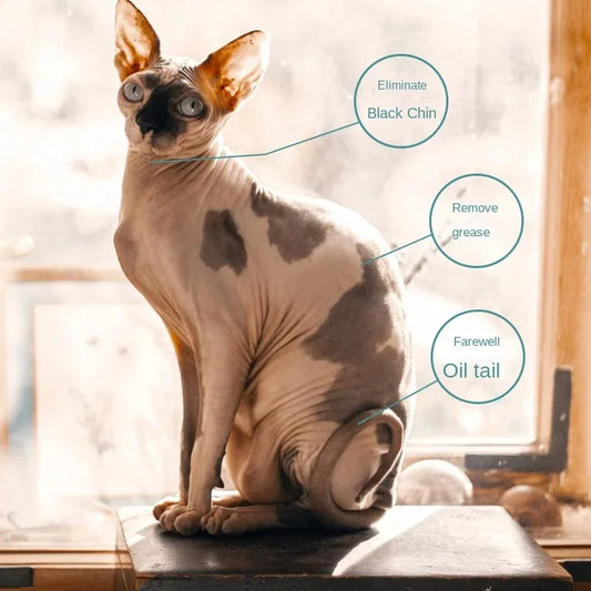 SphinxCare™ 2-in-1 Wash-Free Oil-Control Shampoo for Hairless Cats (500ml)