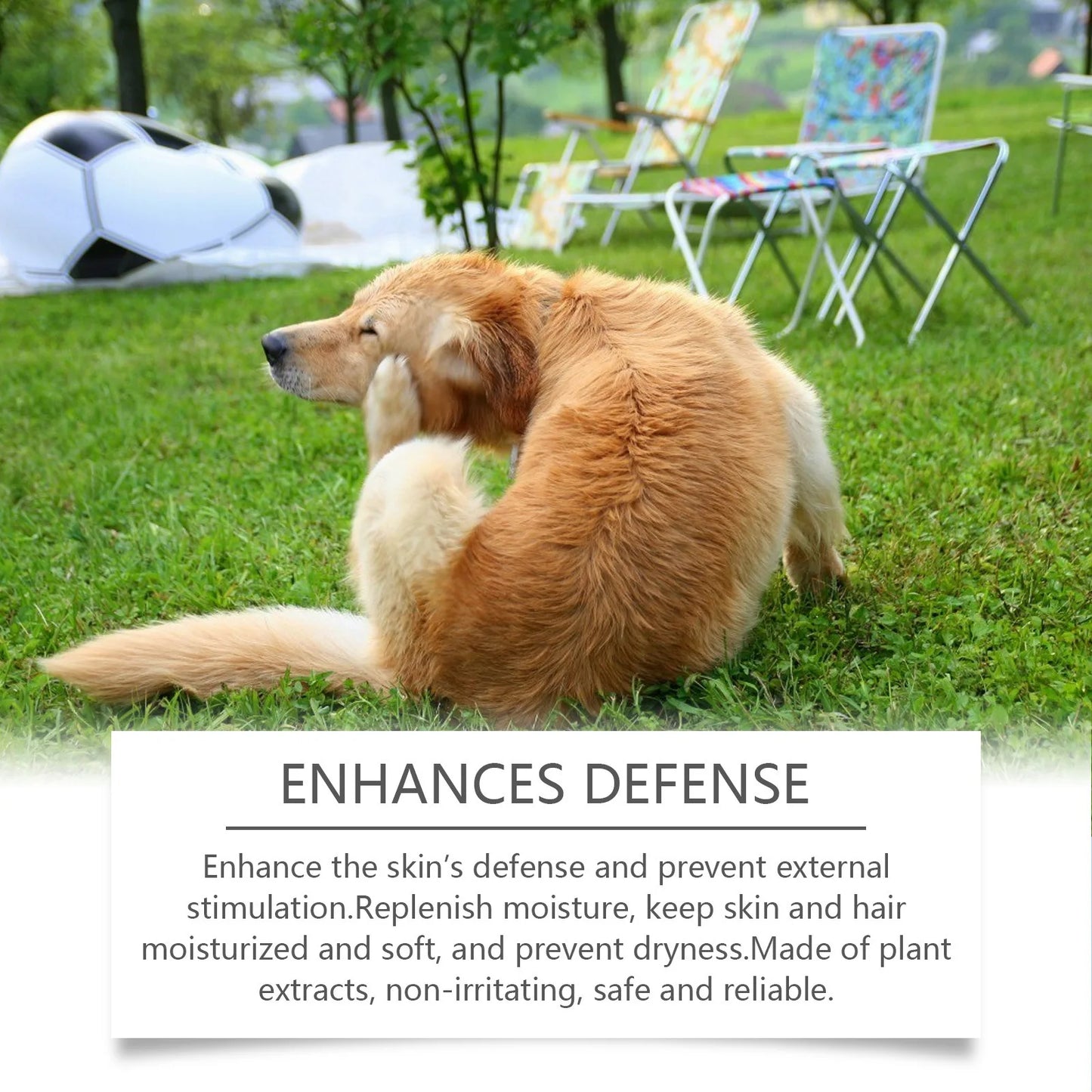 YEGBONG™ Pro-Heal 2-in-1 Sensitive Skin Shampoo & Flea Control