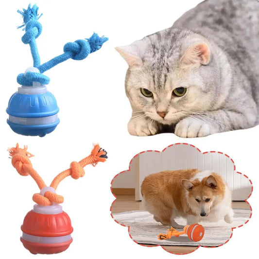 SmartChase™ Motion-Activated Automatic Rolling Pet Ball (USB Rechargeable)