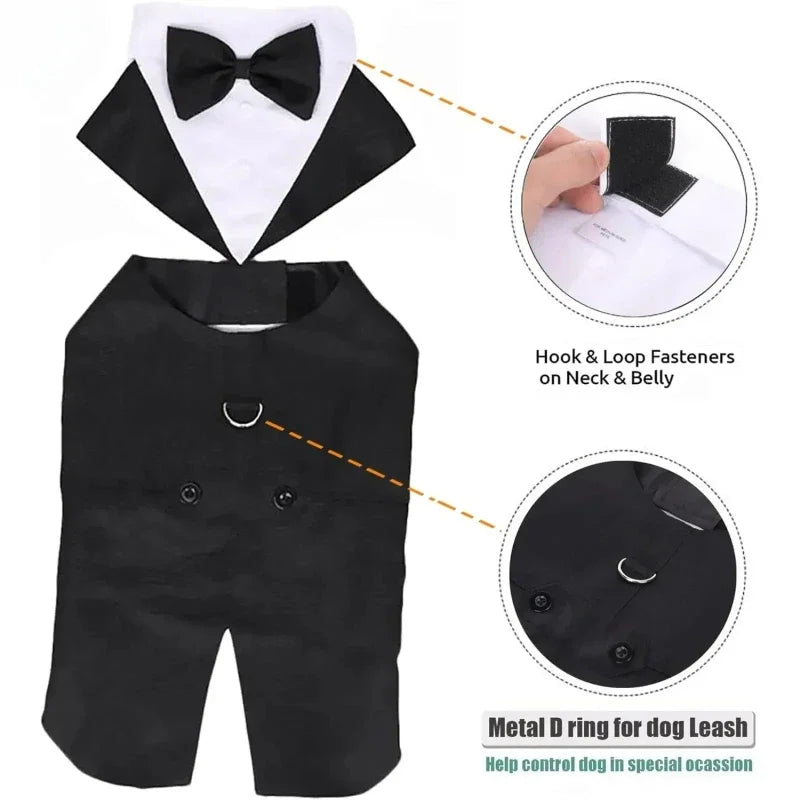 Luxury Detachable Two-Piece Dog Wedding Suit & Tuxedo