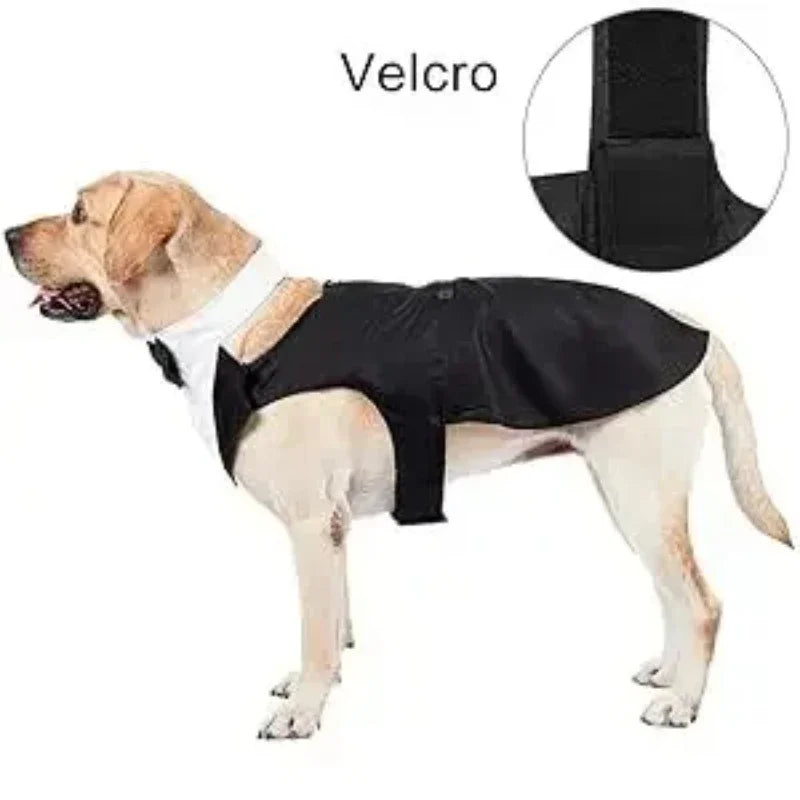 Luxury Detachable Two-Piece Dog Wedding Suit & Tuxedo