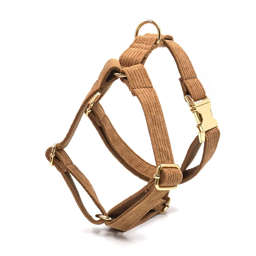 GLORIOUS KEK Luxury Corduroy Dog Harness, Collar & Leash Set