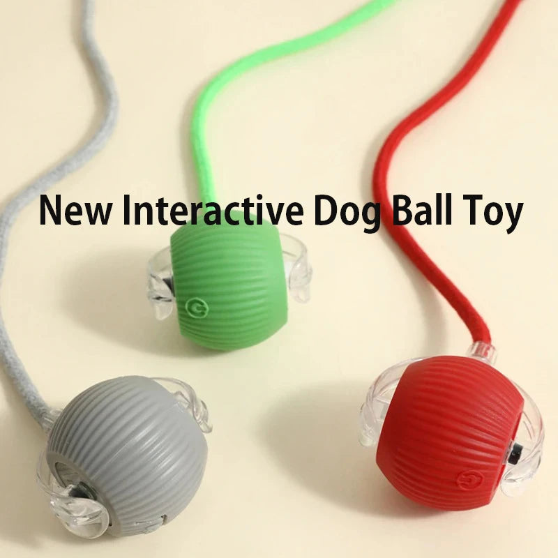 Right Cat™ Smart Interactive Auto-Rolling Ball Toy for Dogs