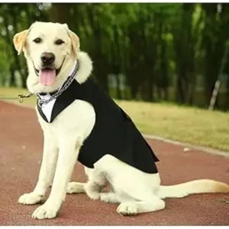 Luxury Detachable Two-Piece Dog Wedding Suit & Tuxedo