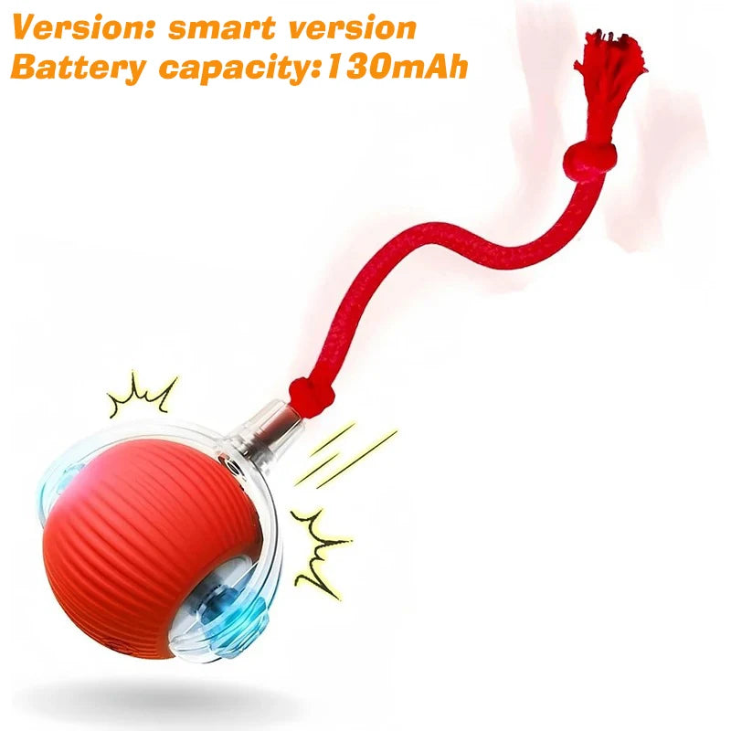 Right Cat™ Smart Interactive Auto-Rolling Ball Toy for Dogs