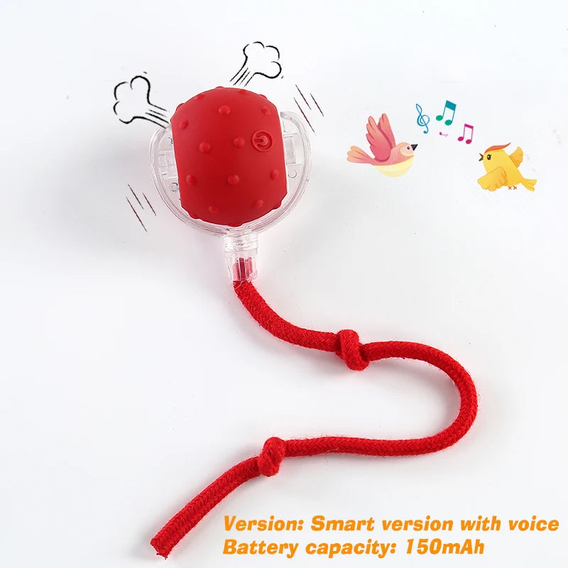 Right Cat™ Smart Interactive Auto-Rolling Ball Toy for Dogs