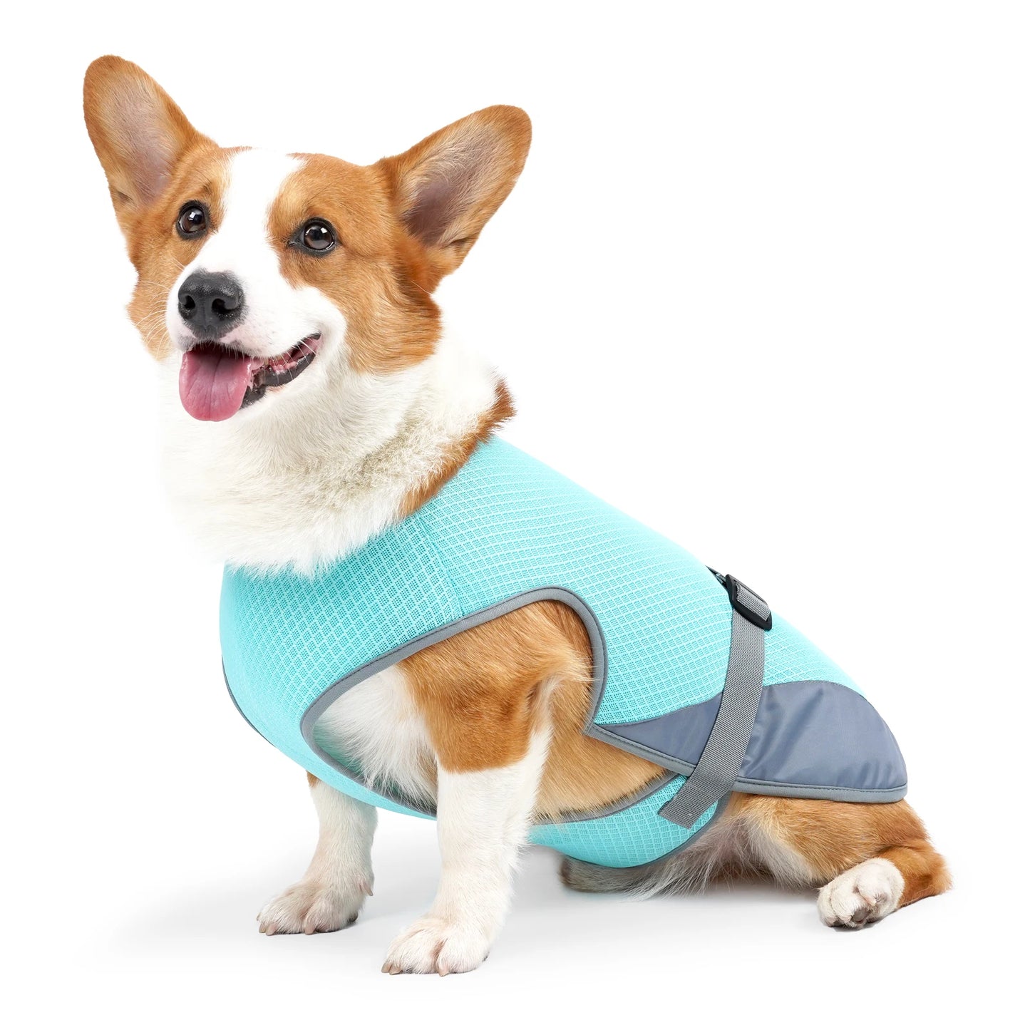 HydroFrost™ Pro Reflective Dog Cooling Vest & Evaporative Jacket