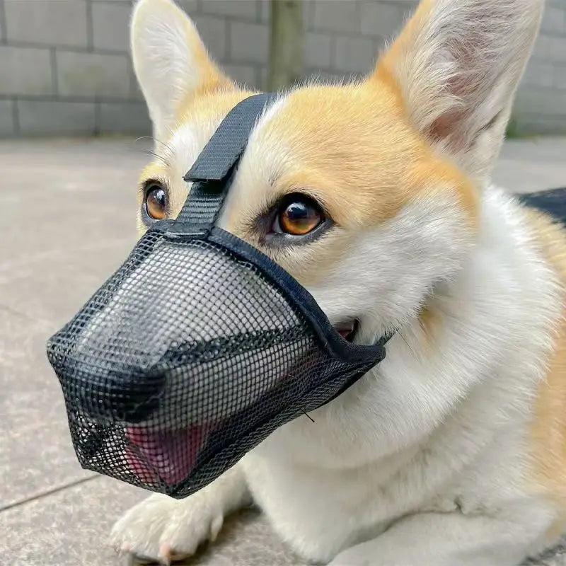 Breathable Mesh Anti-Eating Dog Muzzle