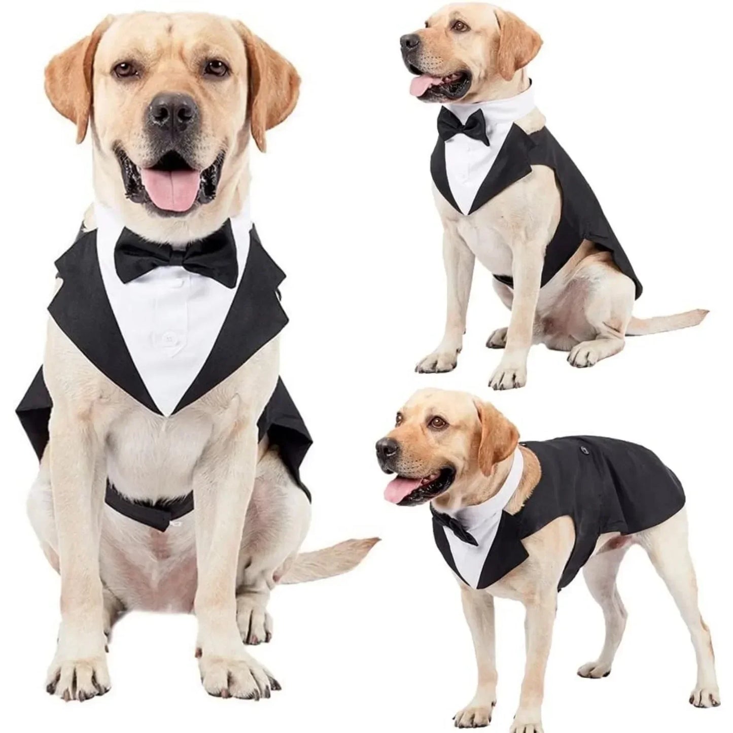 Luxury Detachable Two-Piece Dog Wedding Suit & Tuxedo