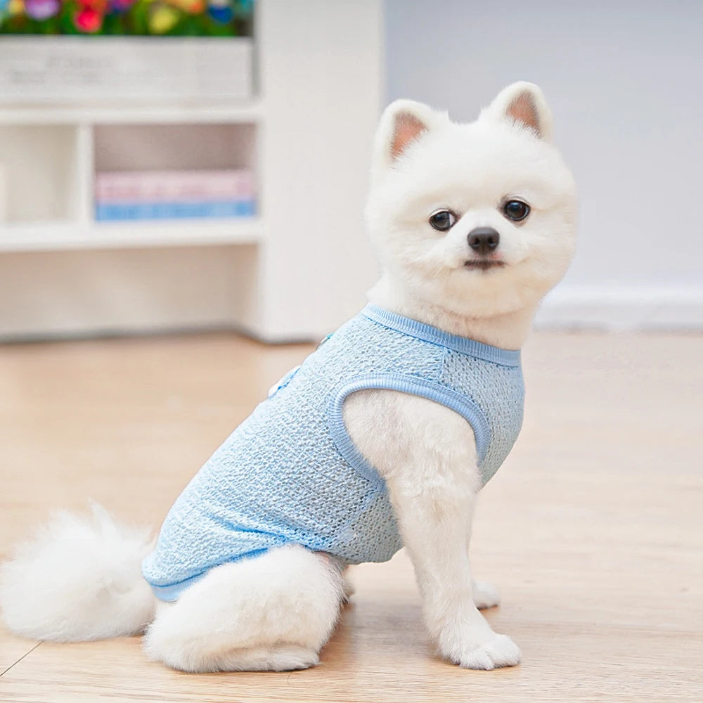 AeroMesh™ Instant Cooling Summer Vest for Small Dogs & Cats