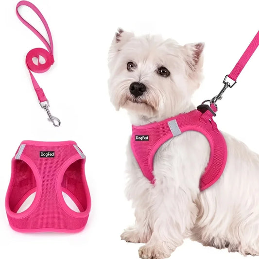 Step-In Breathable Mesh Reflective Dog Harness & Leash Set