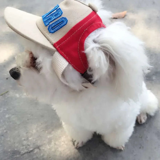 VarsityPup™ Classic Canvas Sport Baseball Cap for Dogs