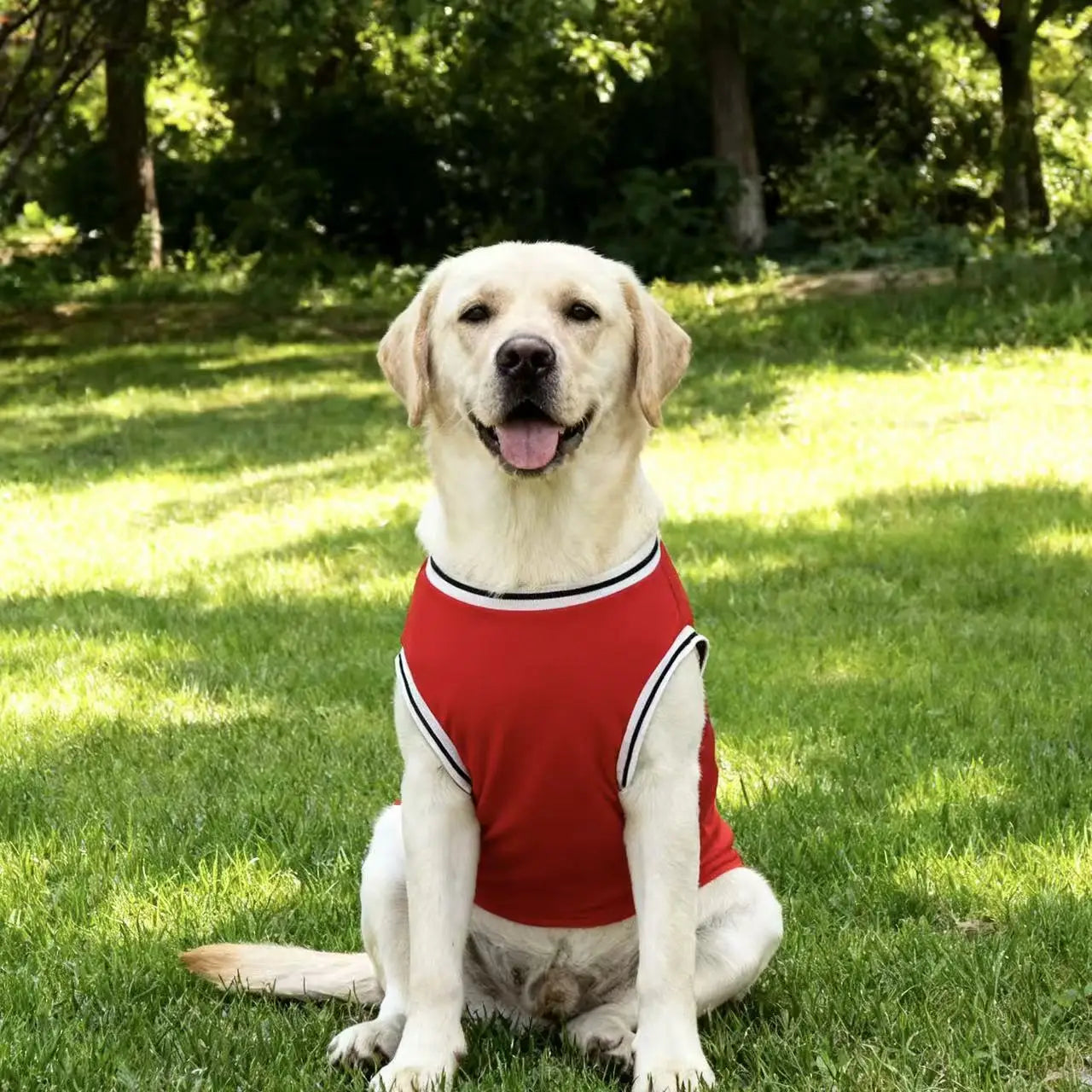 MVP Legend™ Breathable Mesh Dog Basketball Jersey (Sizes up to 3XL)