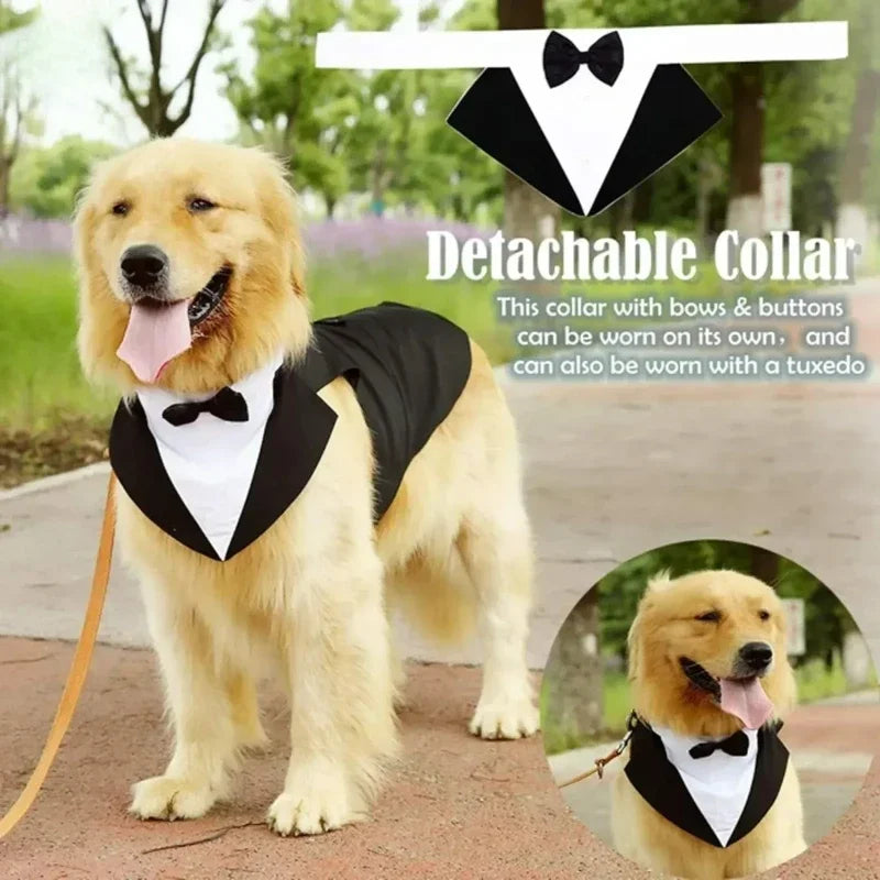 Luxury Detachable Two-Piece Dog Wedding Suit & Tuxedo