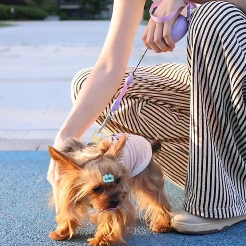 Booteely Compact Ultra-Light Retractable Leash with Hand Loop for Small Dogs & Cats