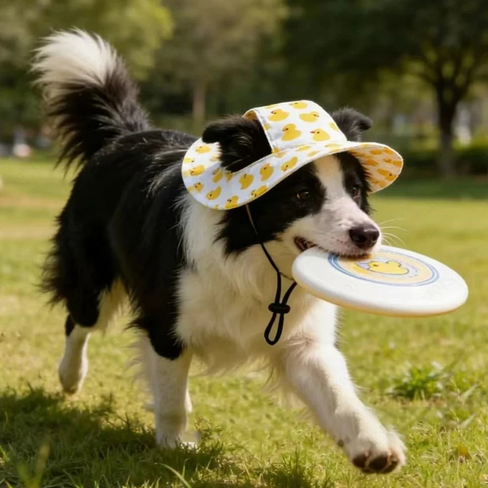 SunnyPaws™ Cute Printed Sun Protection Dog Hat with Ear Holes