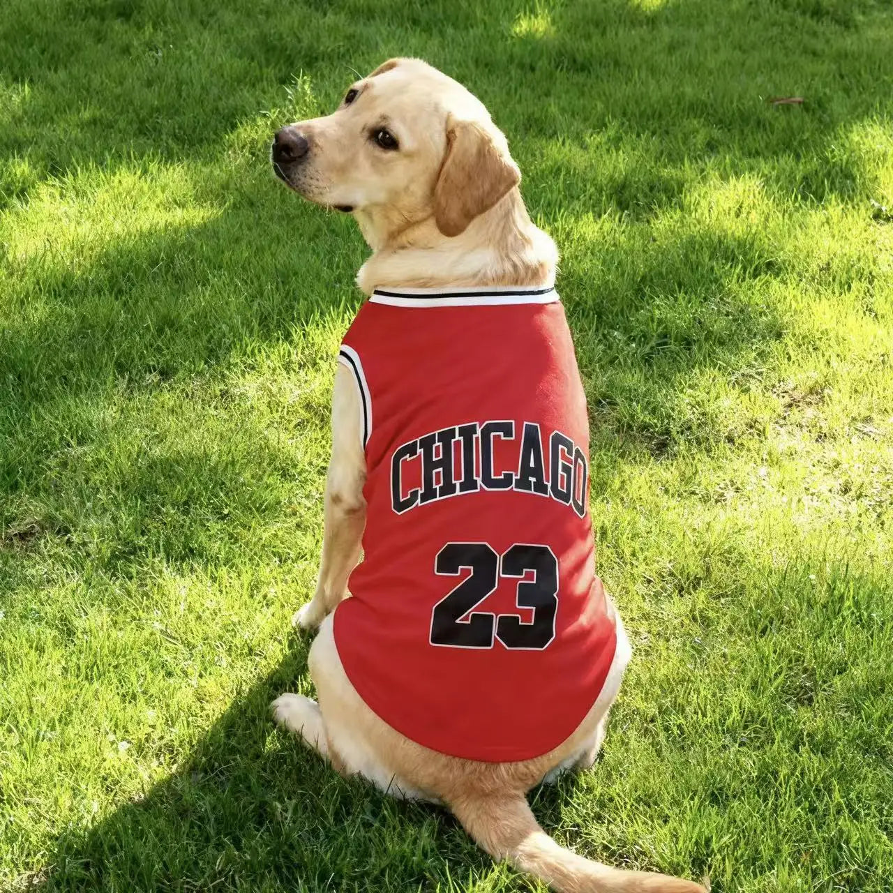 MVP Legend™ Breathable Mesh Dog Basketball Jersey (Sizes up to 3XL)