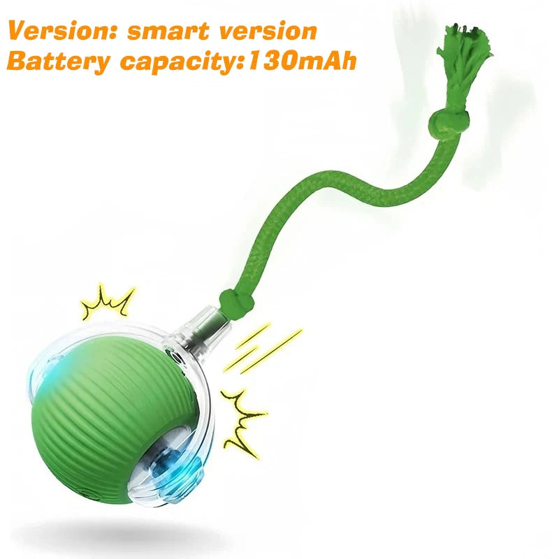 Right Cat™ Smart Interactive Auto-Rolling Ball Toy for Dogs