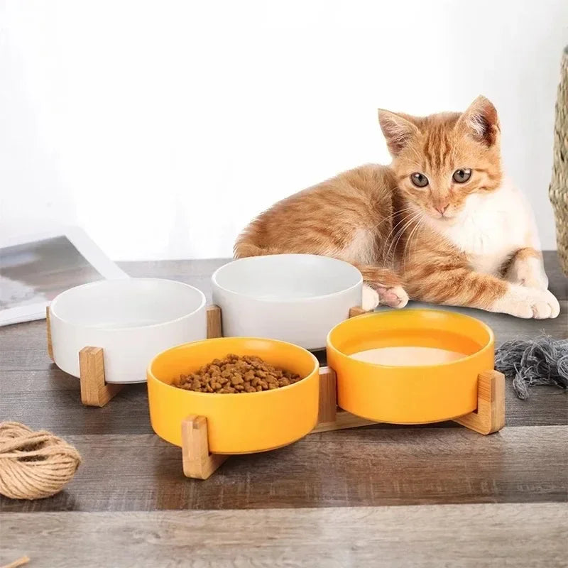 Minimalist Ceramic Double Pet Bowl with Wooden Stand