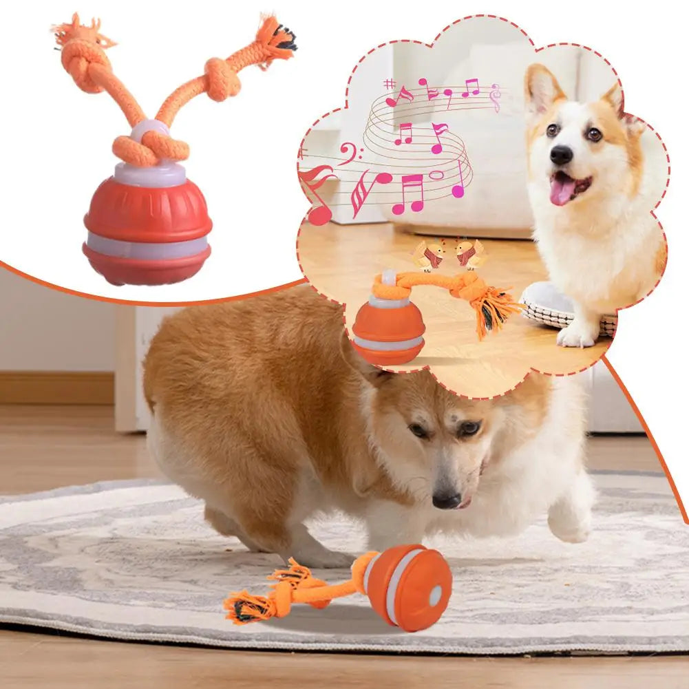 SmartChase™ Motion-Activated Automatic Rolling Pet Ball (USB Rechargeable)