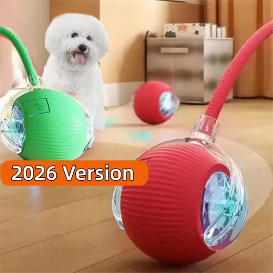 Right Cat™ Smart Interactive Auto-Rolling Ball Toy for Dogs