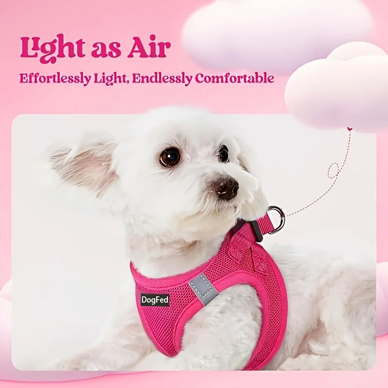 Step-In Breathable Mesh Reflective Dog Harness & Leash Set