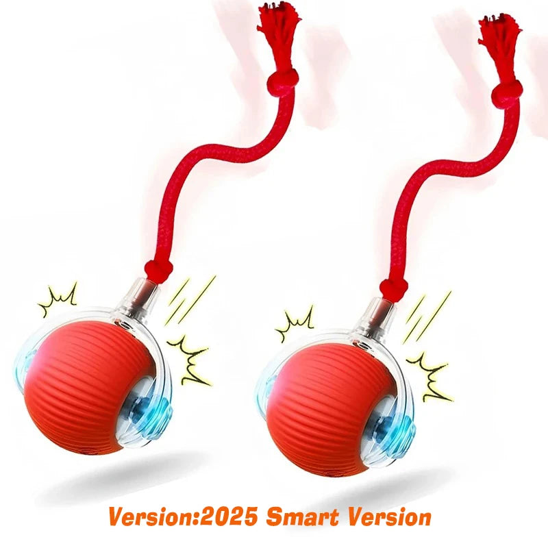 Right Cat™ Smart Interactive Auto-Rolling Ball Toy for Dogs